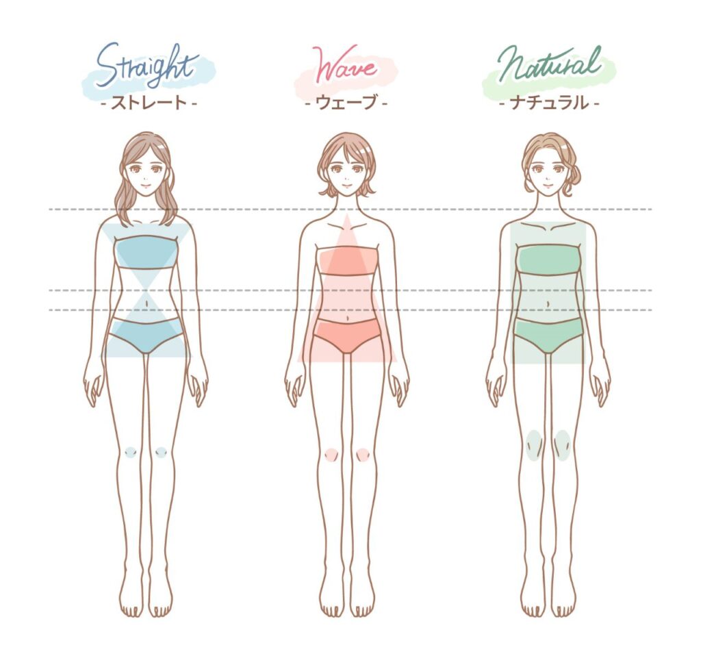 3タイプ骨格診断とそれぞれの特徴
