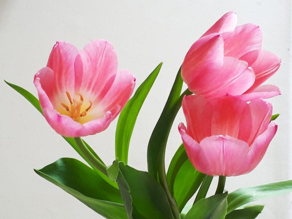 大阪で骨格診断を受けられる人気サロン11選