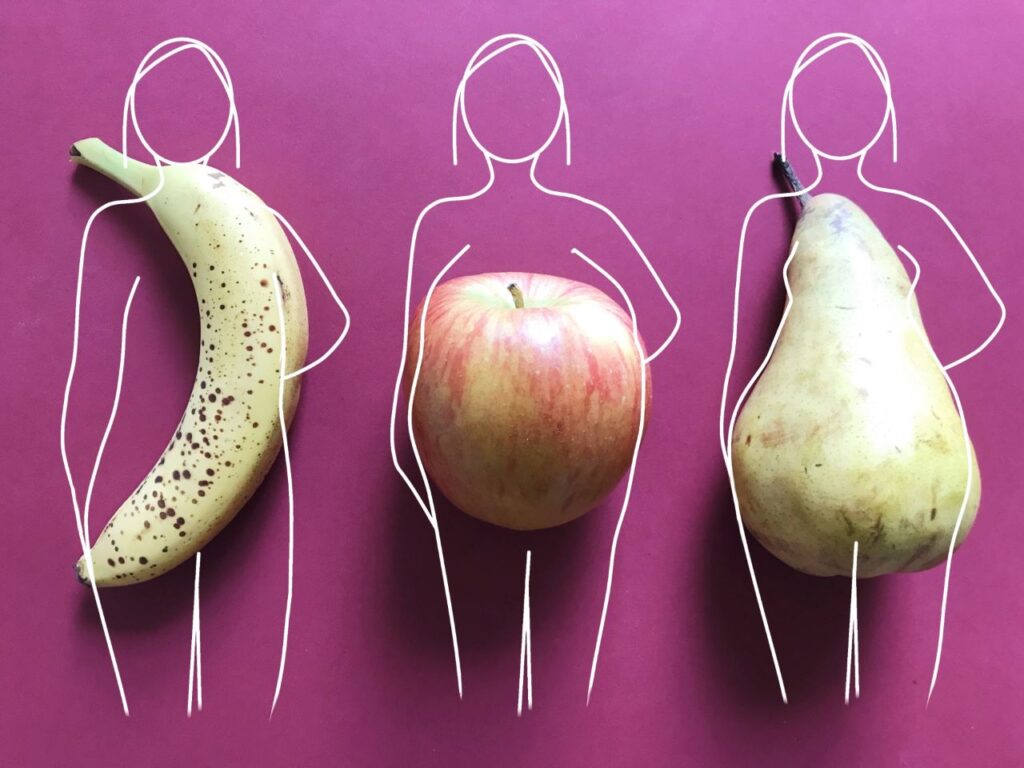 骨格タイプ別 太り型の特徴