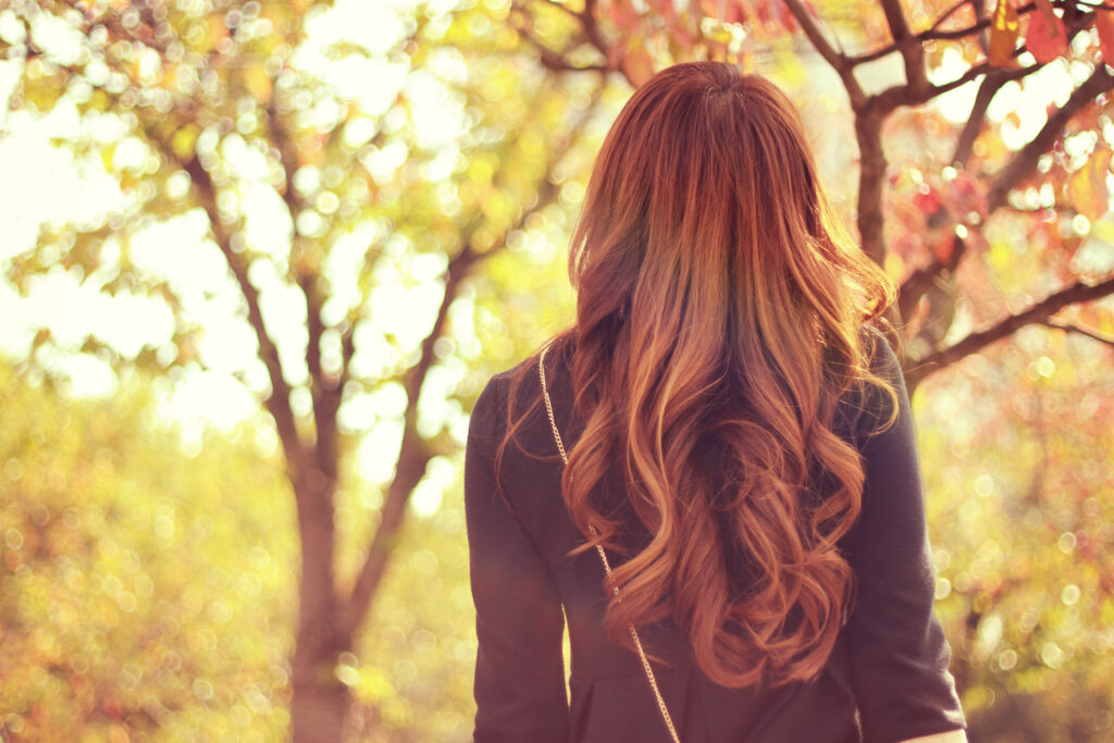 イエベ秋(オータム)の特徴