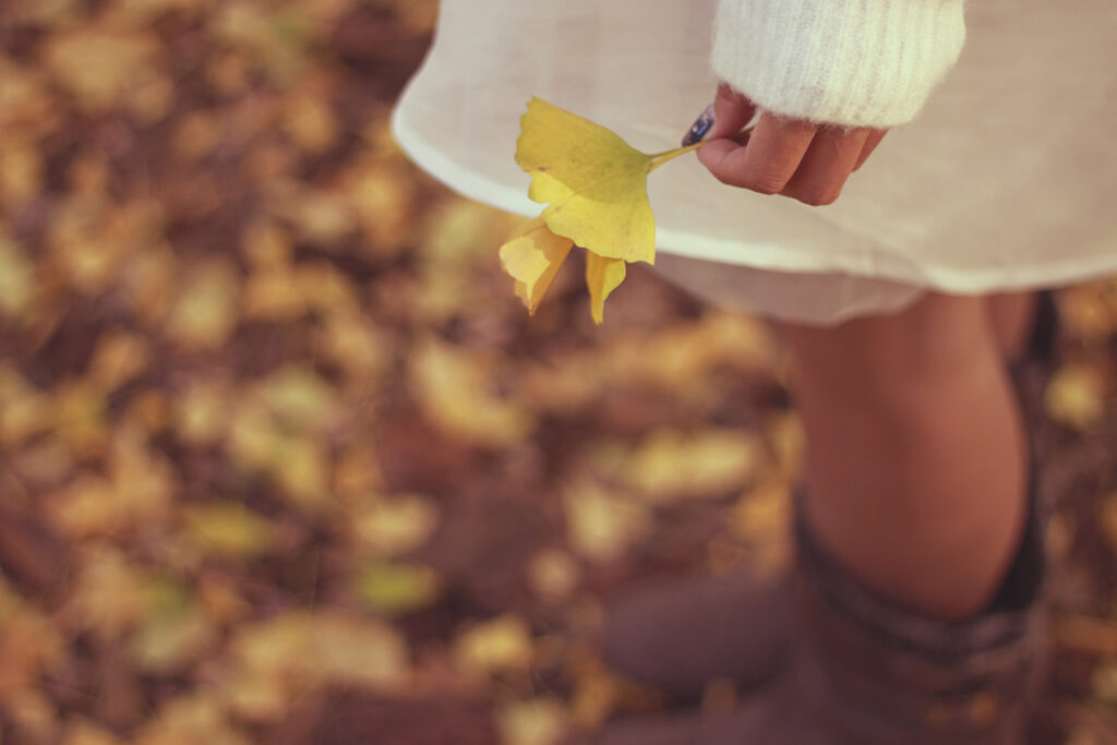 イエベ秋とイエベ春の違い