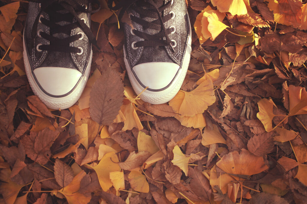 イエベ秋の苦手な色を取り入れるには?