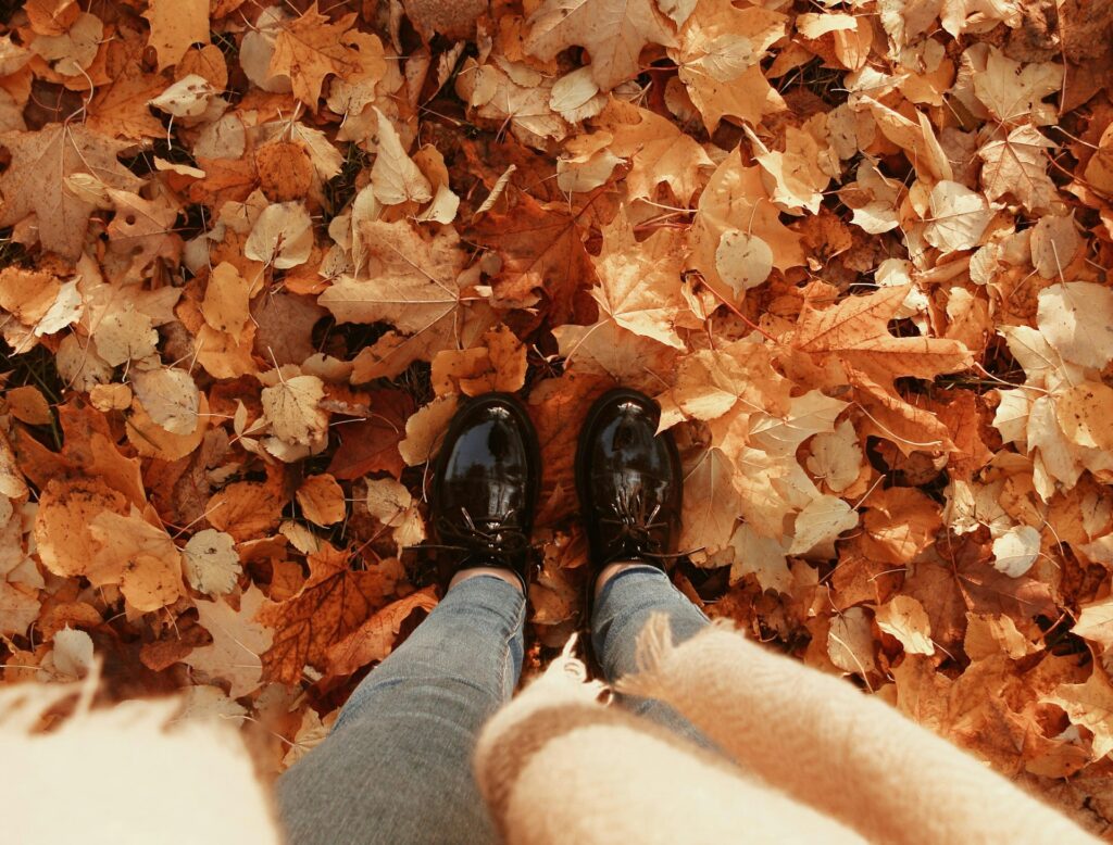 イエベ秋に似合わない色一覧