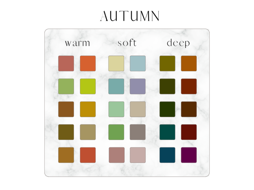 イエベ秋に似合う色一覧